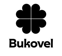 Заявка на торговельну марку № m202510321: bukovel