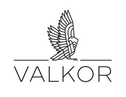 Заявка на торговельну марку № m202509875: valkor