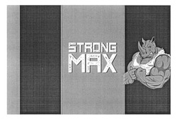 Свідоцтво торговельну марку № 239070 (заявка m201612805): strong max