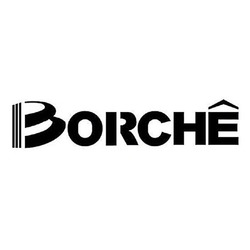 Свідоцтво торговельну марку № 312573 (заявка m201932394): borche