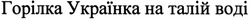 Свідоцтво торговельну марку № 208401 (заявка m201408903): горілка українка на талій воді