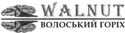 Свідоцтво торговельну марку № 195193 (заявка m201318219): walnut; волоський горіх