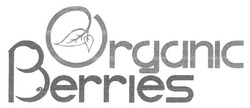 Заявка на торговельну марку № m201718189: organic berries