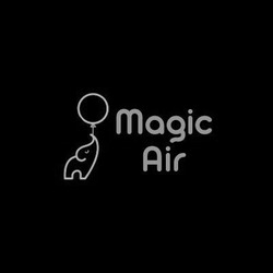 Заявка на торговельну марку № m202406770: magic air