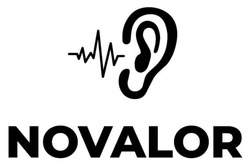 Заявка на торговельну марку № m202514825: novalor