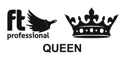 Заявка на торговельну марку № m202304746: ft professional queen