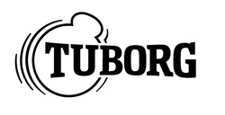 Заявка на торговельну марку № m202509647: tuborg