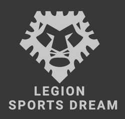 Заявка на торговельну марку № m202320873: legion sports dream