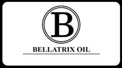 Заявка на торговельну марку № m202011636: в; bellatrix oil