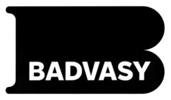 Заявка на торговельну марку № m202519746: в; badvasy