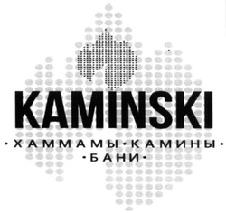 Заявка на торговельну марку № m202018584: kaminski; хаммамы камины бани