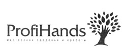 Свідоцтво торговельну марку № 304631 (заявка m201926026): profihands; profi hands; мастерская здоровья и красоты