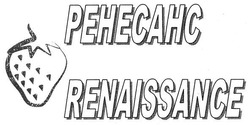 Свідоцтво торговельну марку № 281228 (заявка m201817067): ренесанс; pehecahc; renaissance