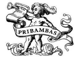 Свідоцтво торговельну марку № 308724 (заявка m201931373): pribambas