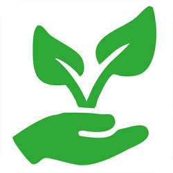 Заявка на торговельну марку № m202503361