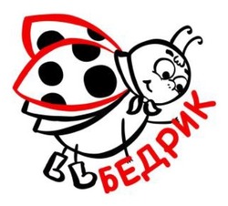 Заявка на торговельну марку № m202515181: бедрик