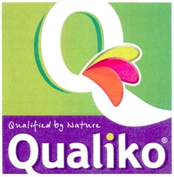Заявка на торговельну марку № m201103711: qualified by nature qualiko