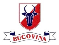 Заявка на торговельну марку № m202513381: bucovina