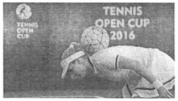 Заявка на торговельну марку № m201611879: tennis open cup 2016