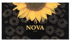 Свідоцтво торговельну марку № 317257 (заявка m202007188): nova; олія