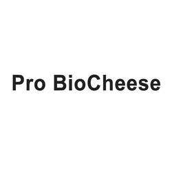 Заявка на торговельну марку № m202513289: bio cheese; pro biocheese