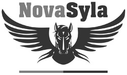 Свідоцтво торговельну марку № 333632 (заявка m202116263): nova syla; novasyla
