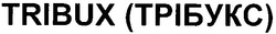 Свідоцтво торговельну марку № 81136 (заявка m200600899): tribux; трібукс