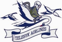 Свідоцтво торговельну марку № 336098 (заявка m202119072): telesyk airlines
