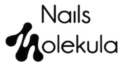 Заявка на торговельну марку № m201523455: nails molekula
