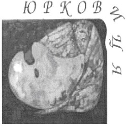 Свідоцтво торговельну марку № 114033 (заявка m200811539): юрковиця