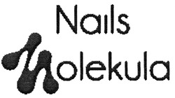 Свідоцтво торговельну марку № 306480 (заявка m201906330): nails molekula