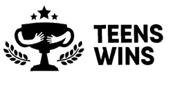 Свідоцтво торговельну марку № 297947 (заявка m201918659): teens wins