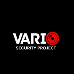Заявка на торговельну марку № m202519340: vario security project