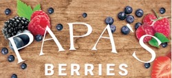 Заявка на торговельну марку № m201918450: papa's berries