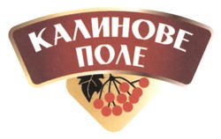 Заявка на торговельну марку № m202519371: калинове поле