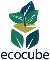 Заявка на торговельну марку № m201813047: ecocube