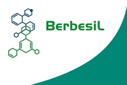 Заявка на торговельну марку № m202411064: berbesil