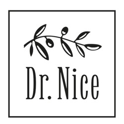 Свідоцтво торговельну марку № 324511 (заявка m202022009): dr.nice