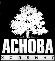 Свідоцтво торговельну марку № 52737 (заявка 2004010135): achoba; аснова; холдинг