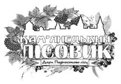 Свідоцтво торговельну марку № 284730 (заявка m201820858): кам'янецький лісовик; камянецький лісовик; дари подільського лісу