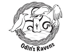 Заявка на торговельну марку № m202420027: odins; odin's ravens