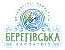 Заявка на торговельну марку № m202419031: берегівська карпатвіз; beregszaszi karpatvis