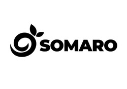 Заявка на торговельну марку № m202512927: о; somaro