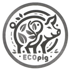 Заявка на торговельну марку № m202411952: есо; ecopig