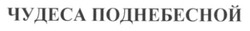 Свідоцтво торговельну марку № 97740 (заявка m200706143): чудеса поднебесной