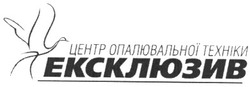 Свідоцтво торговельну марку № 68330 (заявка m200503736): центр опалювальної техніки; ексклюзив