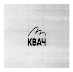 Заявка на торговельну марку № m202501720: квач