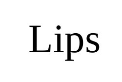 Заявка на торговельну марку № m202011556: lips