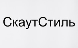 Заявка на торговельну марку № m202516572: скаут стиль; скаутстиль