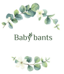 Заявка на торговельну марку № m202405511: baby bants